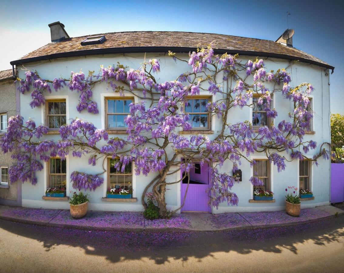 Deerpark Cottage, Inistioge, Kilkenny Extérieur photo